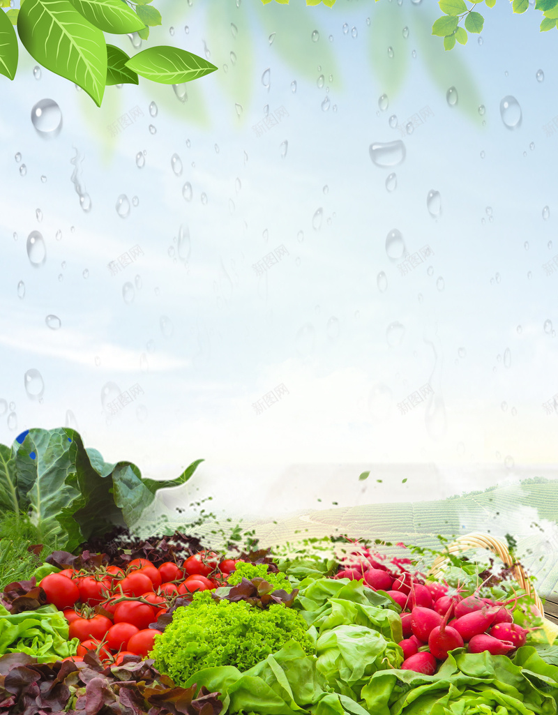净菜配送外卖宣传海报psd设计背景_新图网 https://ixintu.com 净菜海报 外卖配送 户外 树叶 菜品 蔬果 蔬菜水果 送货上门