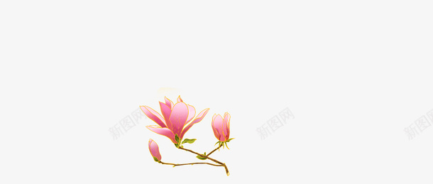 手绘花朵花朵装饰元素树枝png免抠素材_新图网 https://ixintu.com 手绘花朵 花朵 装饰元素 树枝