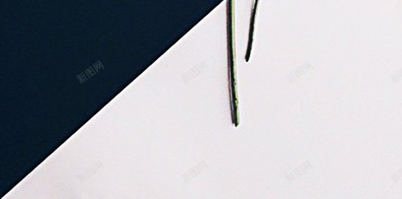 玫瑰花瓣黑白H5背景图jpg设计背景_新图网 https://ixintu.com H5 几何 复古黑白背景图 玫瑰 背景 背景图 花瓣 花瓣背景 黑白