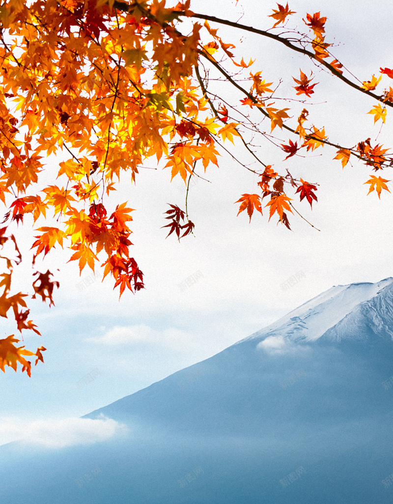 唯美枫叶H5背景jpg设计背景_新图网 https://ixintu.com H5 H5背景 h5 唯美 梦幻 浪漫