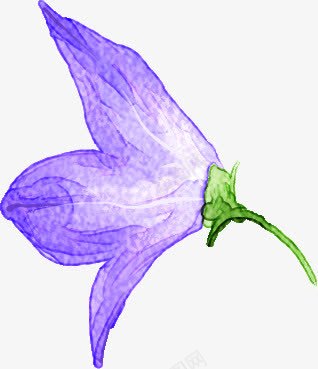 手绘清新蓝色牵牛花装饰png免抠素材_新图网 https://ixintu.com 清新 牵牛 蓝色 装饰