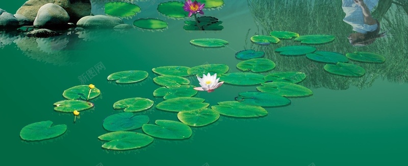 园林海报背景素材jpg设计背景_新图网 https://ixintu.com 海报 背景 高清背景大全 传统 文化 中国风 园林 风景 柳树