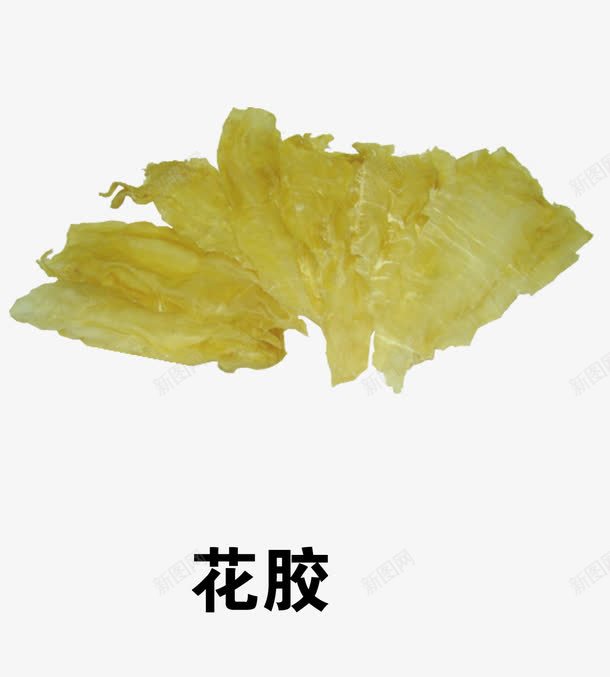 花胶png免抠素材_新图网 https://ixintu.com 中医 中草药 中药 医疗保健