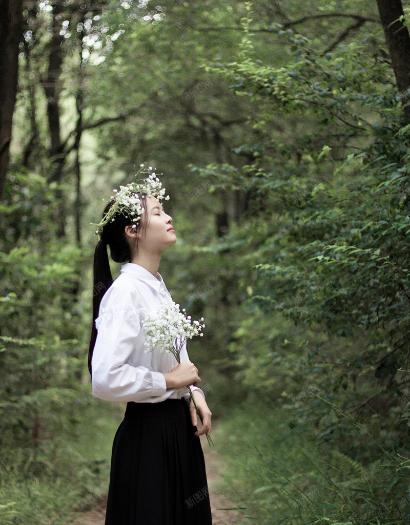 森林风景摄影jpg设计背景_新图网 https://ixintu.com 森铃 小清新 阳光 可爱 美丽