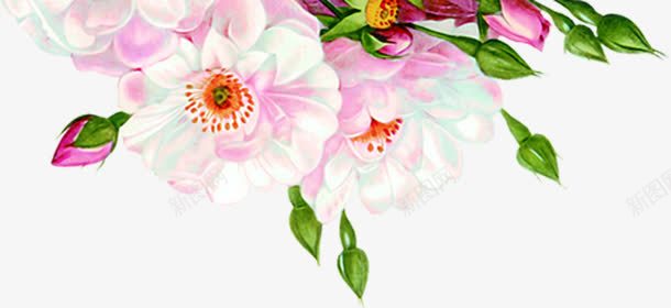 情人节海报植物花朵绿叶png免抠素材_新图网 https://ixintu.com 情人 植物 海报 绿叶 花朵
