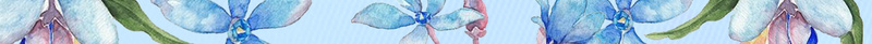 蓝色简约夏季新品发布海报背景psd设计背景_新图网 https://ixintu.com 几何 夏季 小清新 文艺 新品 海报 简约 背景素材 花边 蓝色