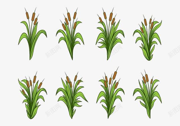 手绘花草png免抠素材_新图网 https://ixintu.com 卡通 植物 绿色 草堆