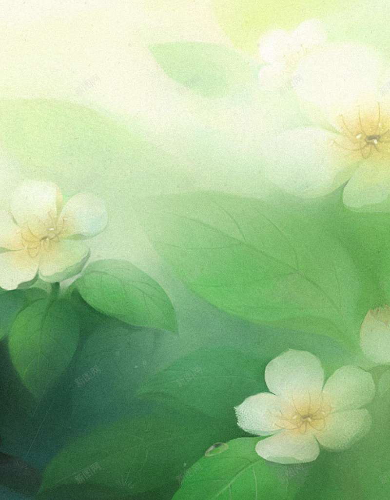白色花卉H5背景jpg设计背景_新图网 https://ixintu.com H5 H5背景 h5 女装 小清新 文艺 清新 白色 简约 花卉