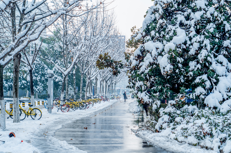 大雪后的天鹅湖公园jpg设计背景_新图网 https://ixintu.com 大雪 天鹅湖 公园 街道