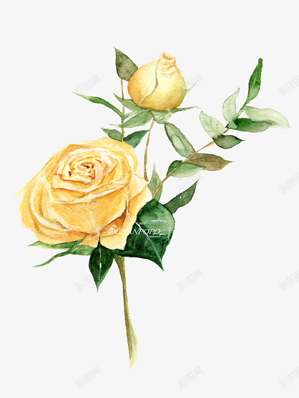 花不是为了花店而开png免抠素材_新图网 https://ixintu.com PNG 植物 自裁 装饰