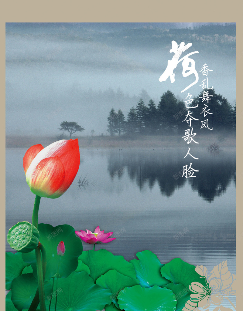 夏季荷花psd设计背景_新图网 https://ixintu.com 中国风 中国风格元素 夏天 池塘 荷花