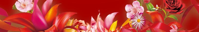 红色牡丹花背景psd设计背景_新图网 https://ixintu.com 红色 牡丹花 福 幸福 花 纹理 褶皱 大气 激情 狂欢