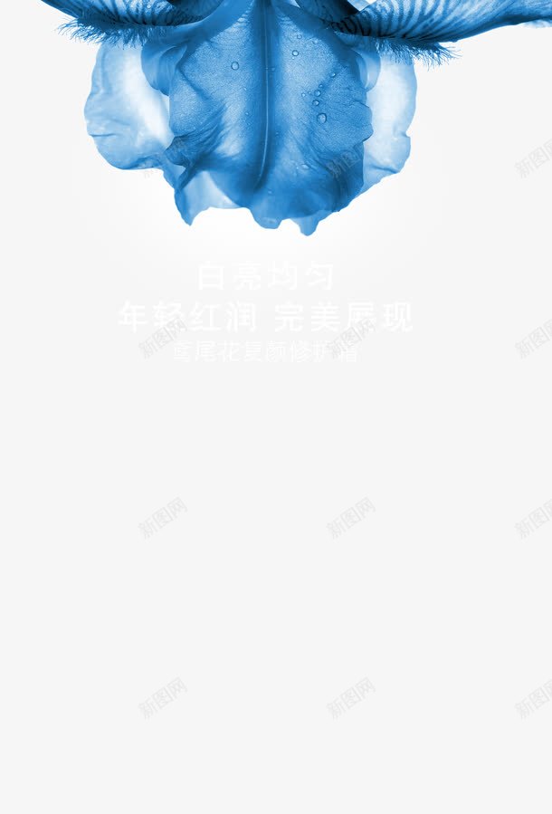 促销海报片psdpng免抠素材_新图网 https://ixintu.com psd素材 化妆品 平面设计 海报图片