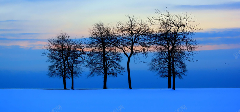 雪天淘宝海报背景bannerjpg设计背景_新图网 https://ixintu.com 黄昏 云雾 雪 树 海报banner 摄影 风景