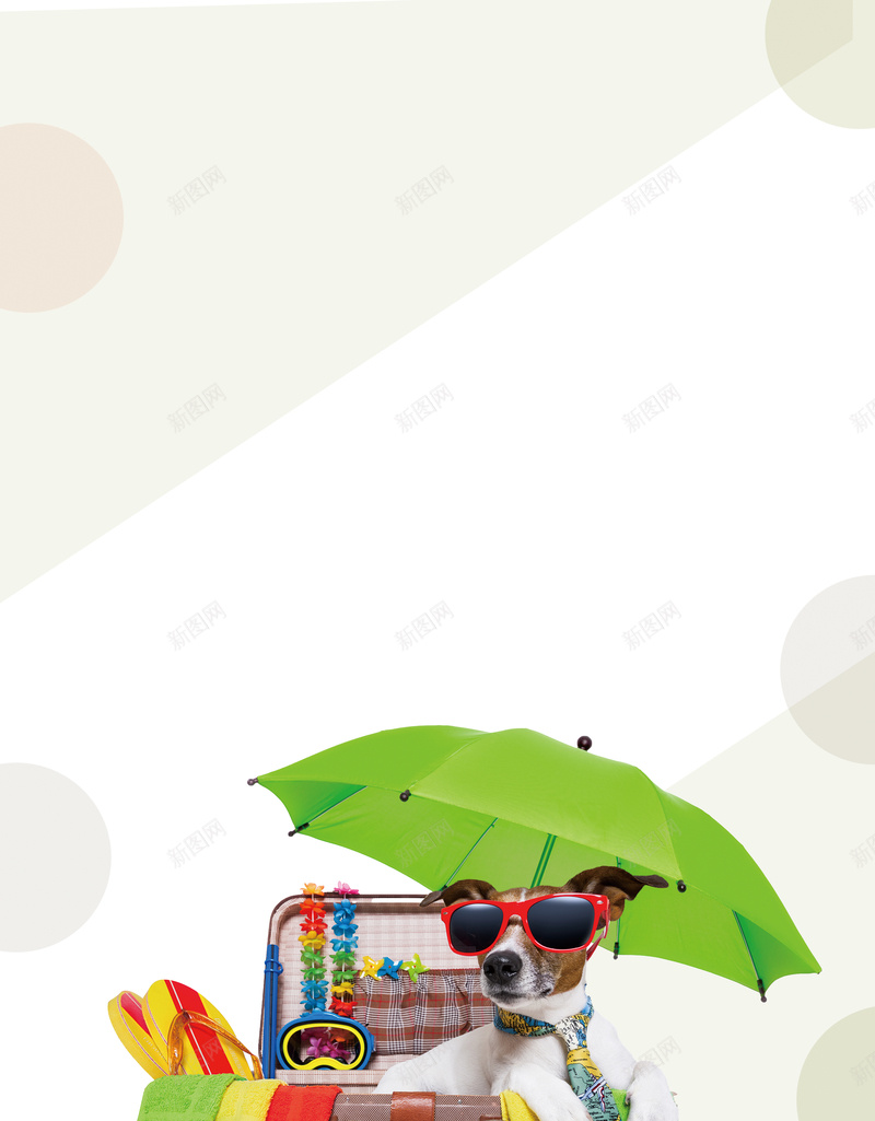 清新简约宠物护理中心psd设计背景_新图网 https://ixintu.com 宠物医院 宠物店 宠物店传单 宠物护理 宠物护理中心 宠物犬 宠物狗 宠物猫 爱犬托管