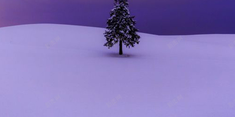 雪中毅力的树jpg设计背景_新图网 https://ixintu.com 雪 树 蓝色 摄影 风景
