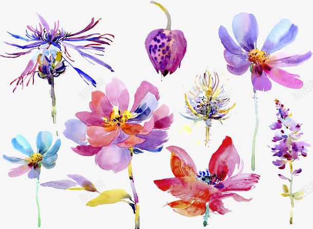 水墨花png免抠素材_新图网 https://ixintu.com 水墨花 花朵 装饰