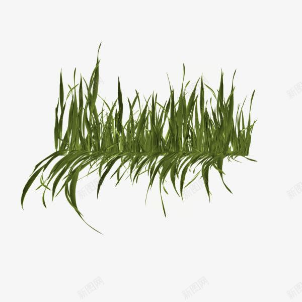 绿色清新植物草地png免抠素材_新图网 https://ixintu.com 植物 清新 绿色 草地