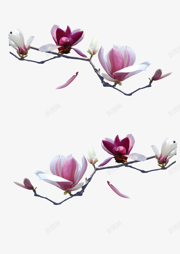 仿真花带树枝话png免抠素材_新图网 https://ixintu.com 国风 树枝 装饰 话