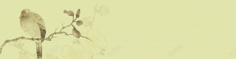 中国风工笔画优雅bannerjpg设计背景_新图网 https://ixintu.com 中国风 工笔画 优雅 树 鸟 海报banner
