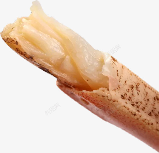大闸蟹蟹腿肉png免抠素材_新图网 https://ixintu.com 大闸蟹 美食 螃蟹 蟹腿 蟹腿肉 高清大闸蟹