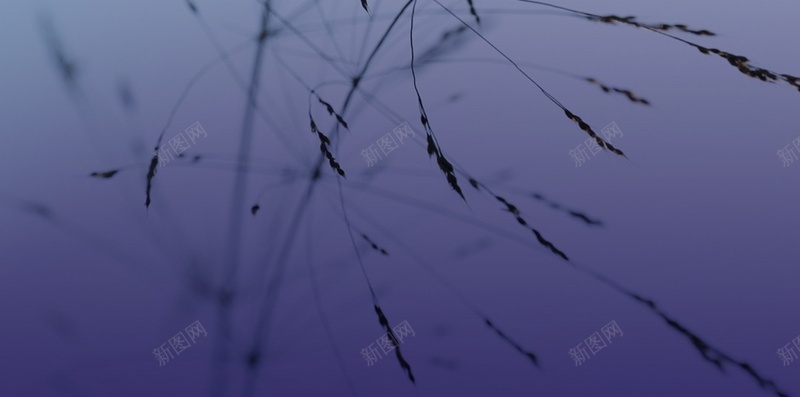 简约安卓待机风景H5背景jpg设计背景_新图网 https://ixintu.com 天空 蓝色 植物 风景 摄影 H5 h5