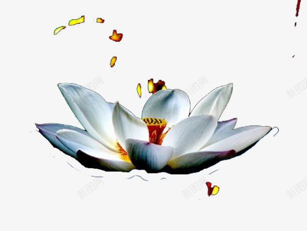 机缘成熟png免抠素材_新图网 https://ixintu.com 佛缘 内因 因 才能发挥作用 是指外 通过 须得