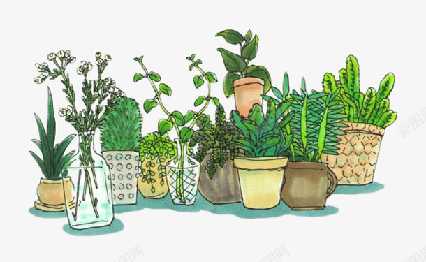 盆栽植物免扣素材png免抠素材_新图网 https://ixintu.com 盆栽 绿色植物 植物 绿植