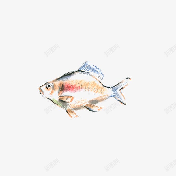 彩绘鱼插画矢量图ai免抠素材_新图网 https://ixintu.com 彩绘钓鱼插画 手绘鱼 鱼 矢量图