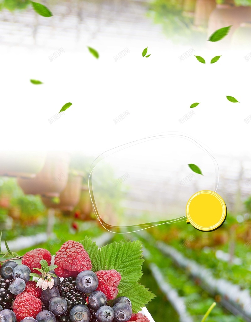 风景食品背景海报psd设计背景_新图网 https://ixintu.com 户外 树叶 水果 葡萄 风景 海报食品 食品背景 风景海报