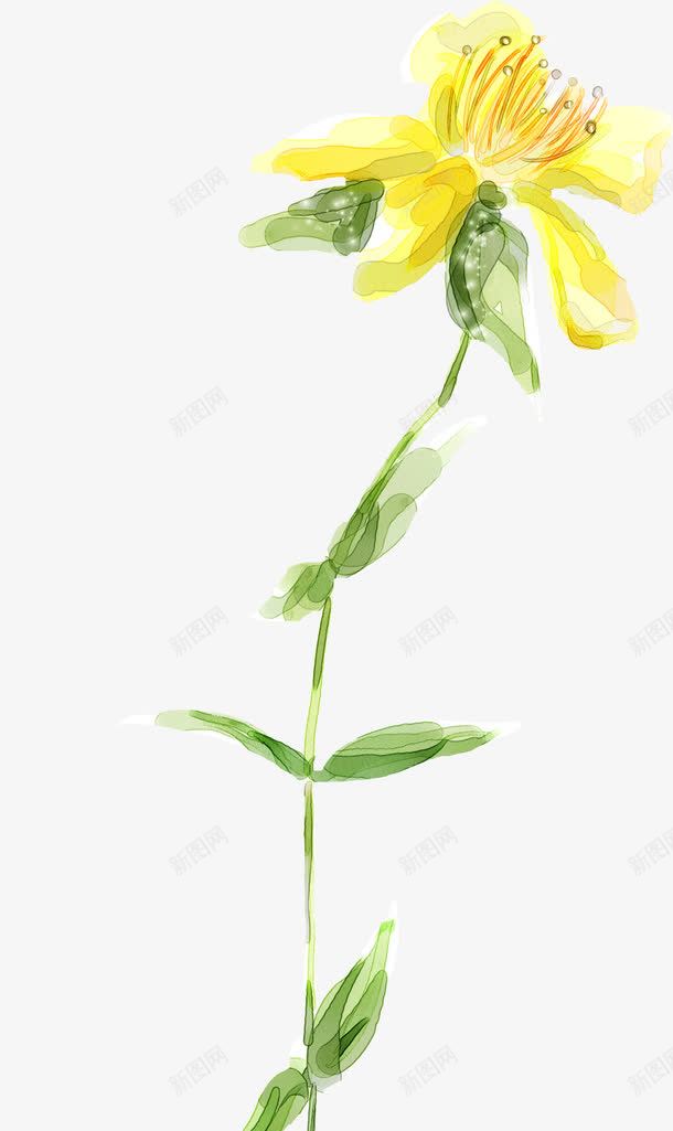 手绘黄色花卉板报png免抠素材_新图网 https://ixintu.com 板报 花卉 黄色