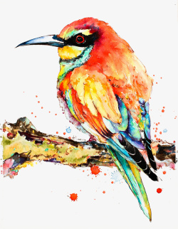 彩色手绘鸟海报展板图案素材