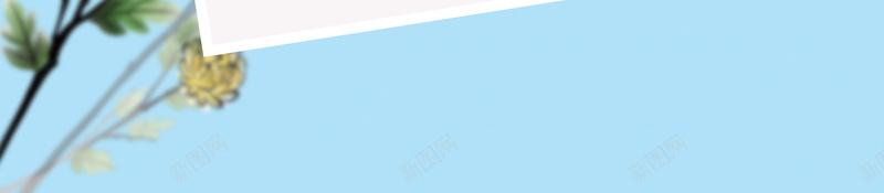 秋季菊花海报宣传背景psd设计背景_新图网 https://ixintu.com 季节 文艺 海报背景 清新 秋分节气 秋天 秋季 节气海报 菊花海报 鲜花
