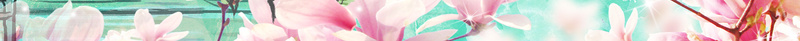 山间桃林桃花背景psd设计背景_新图网 https://ixintu.com 世外桃源 小亭子 山间 山间背景 桃林 桃花 桃花源记 桃花背景 背景