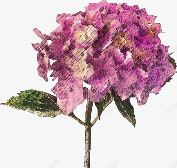 手绘花朵1png免抠素材_新图网 https://ixintu.com png 可爱 手绘 花 花朵