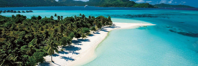 简约背景jpg设计背景_新图网 https://ixintu.com 树水 海报banner 摄影 风景