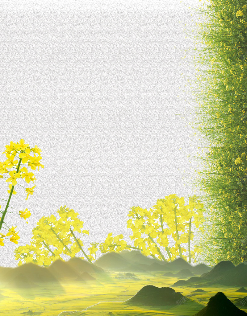 油菜花海海报背景psd设计背景_新图网 https://ixintu.com 优惠海报 夏季海报 文艺海报 春季海报 植物海报 促销海报 鲜花画报 宣传海报 大气海报