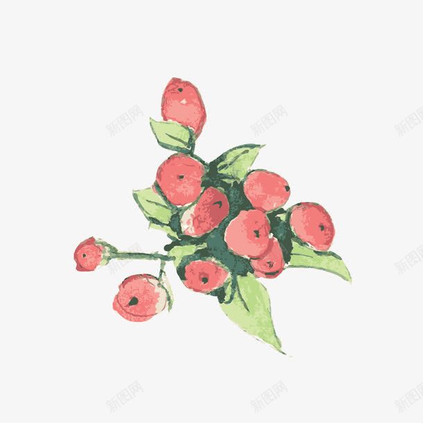 漂浮植物png免抠素材_新图网 https://ixintu.com 手绘 植物 红果 绿叶