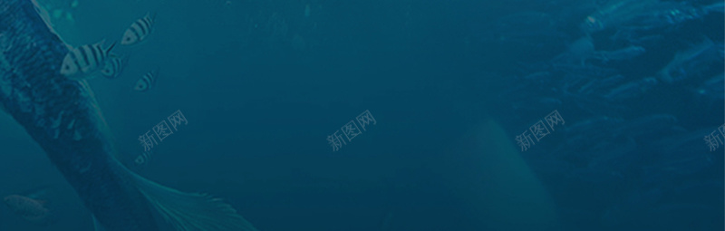 化妆品海报广告背景psd设计背景_新图网 https://ixintu.com 促销 化妆品 广告 海报 珍珠 美人鱼 美人鱼图案 美容 背景