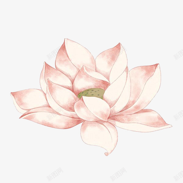 夏天手绘荷花png免抠素材_新图网 https://ixintu.com 夏天 手绘 淡雅 荷花