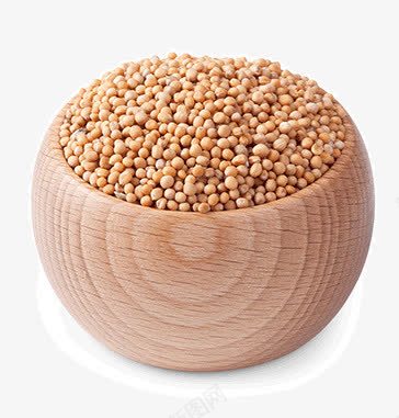 砂仁png免抠素材_新图网 https://ixintu.com 佐料辅料 调味粉 调味调料 调料粉 香料食材