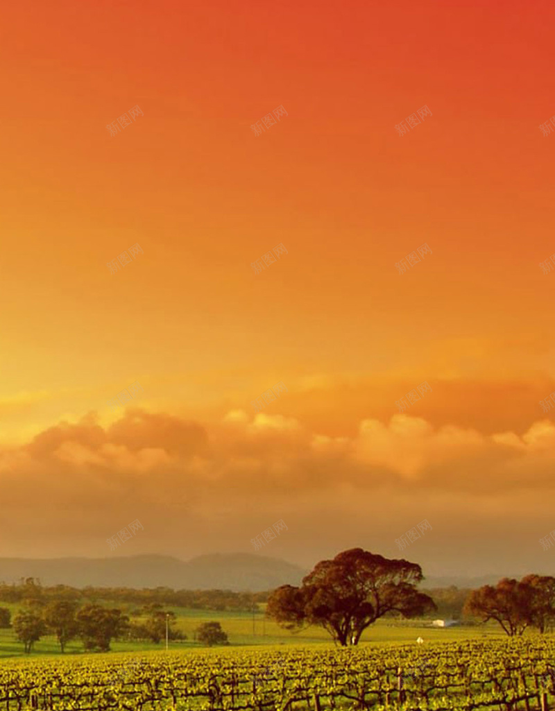 草原风景唯美H5背景jpg设计背景_新图网 https://ixintu.com 渐变 橙色 绿色 树木 草地 H5h5 摄影 风景