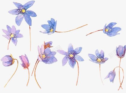 水墨蓝花蓝色花苞png免抠素材_新图网 https://ixintu.com 水墨 花苞 蓝色 蓝花