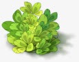卡通花草png免抠素材_新图网 https://ixintu.com 卡通 小草 植物 花草