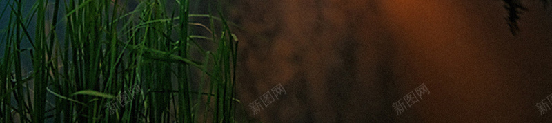 户外琥珀风景背景素材jpg设计背景_新图网 https://ixintu.com 海报 背景 高清 素材 免费背景 户外 琥珀 户外风景 户外背景
