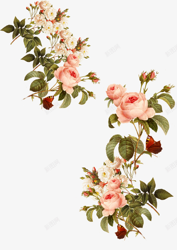 花朵多种花花png免抠素材_新图网 https://ixintu.com 漂浮 花 花朵 装饰花