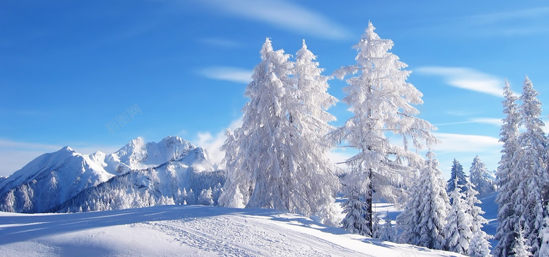 雪景背景图jpg设计背景_新图网 https://ixintu.com 雪景 白雪 蓝色 海报banner 摄影 风景