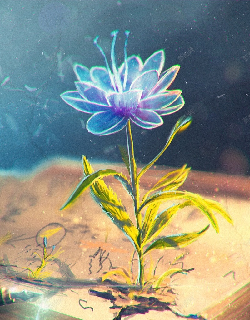书上的梦幻花朵背景H5jpg设计背景_新图网 https://ixintu.com H5 书本 梦幻 浪漫 背景 花朵