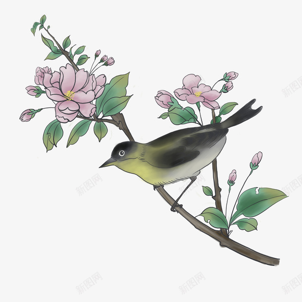 清新手绘花2png免抠素材_新图网 https://ixintu.com 手绘 手绘花素材 清新手绘花素材 花素材