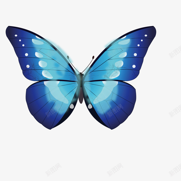 卡通蝴蝶png免抠素材_新图网 https://ixintu.com 动物 动物插画 卡通 卡通动物 可爱动物 小动物 蝴蝶